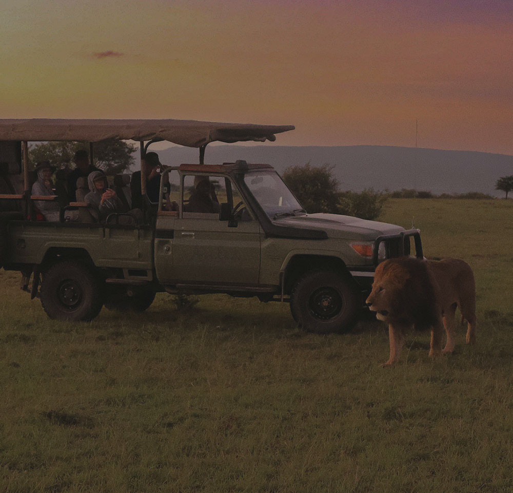 ITL Safaris